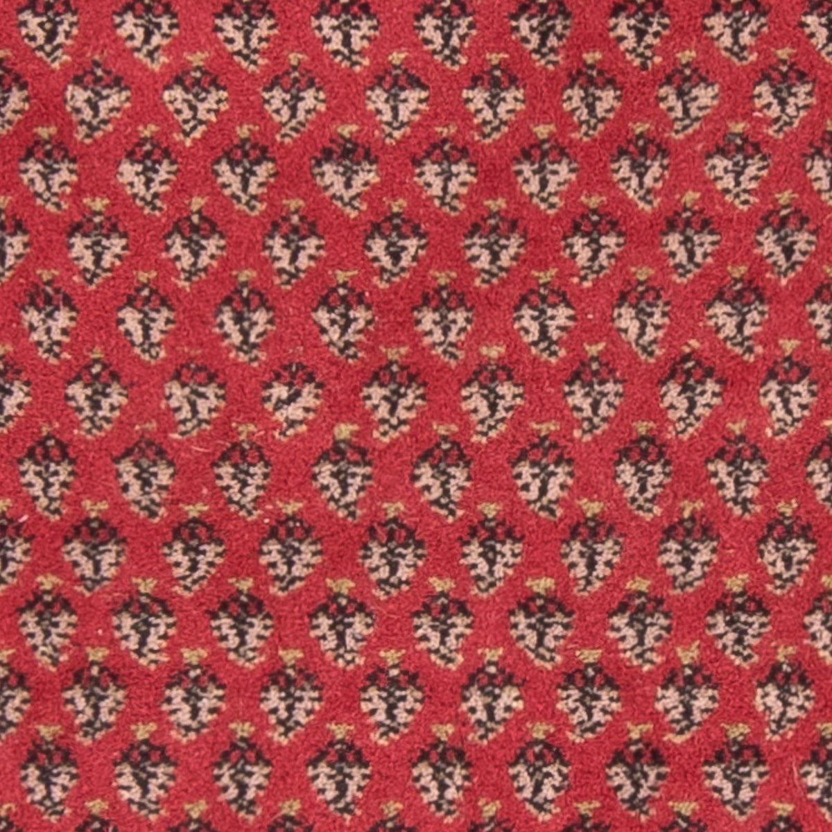 Tappeto orientale - Mir - Indus - 140 x 70 cm - rosso