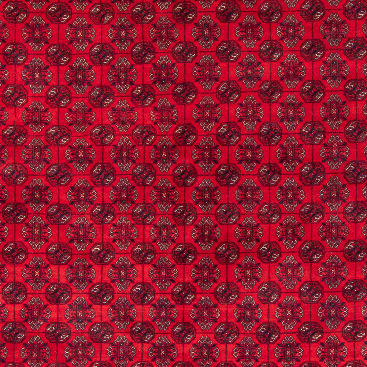 Tappeto afgano - Bukhara - 290 x 196 cm - rosso