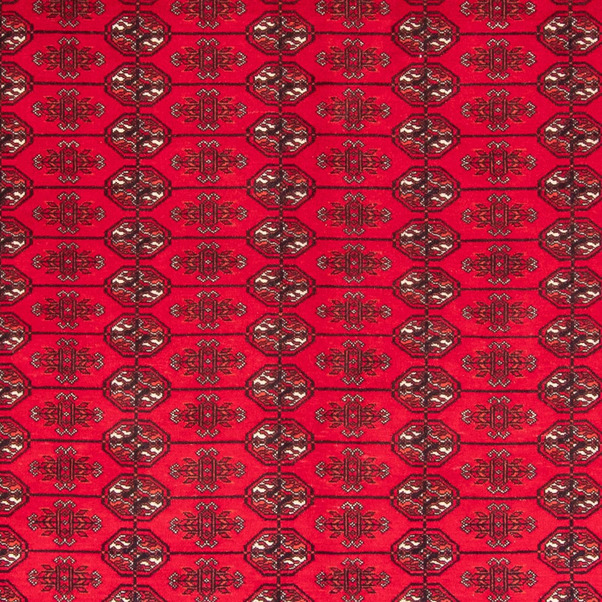 Tappeto afgano - Bukhara - 282 x 200 cm - rosso