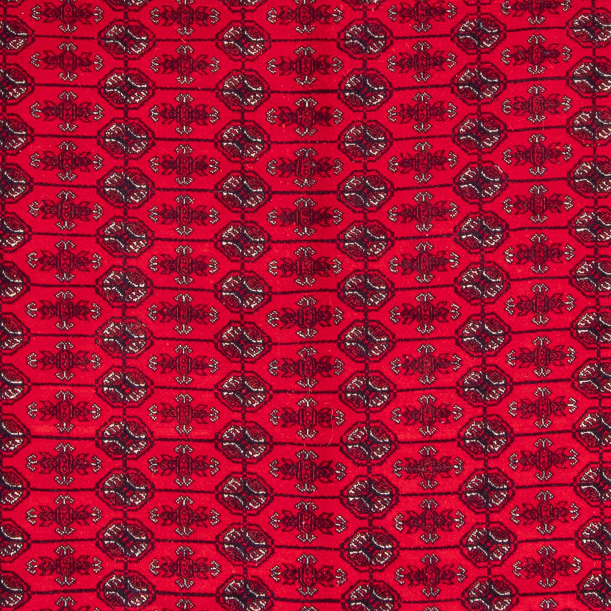 Tappeto afgano - Bukhara - 292 x 200 cm - rosso