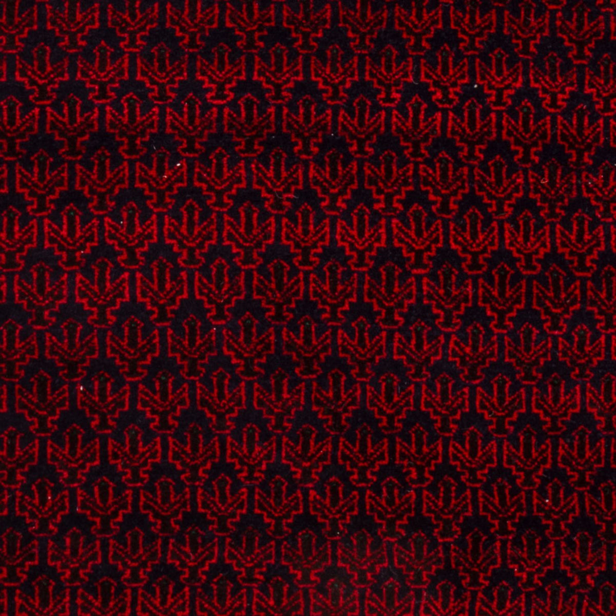 Tappeto Belutsch - 148 x 96 cm - rosso
