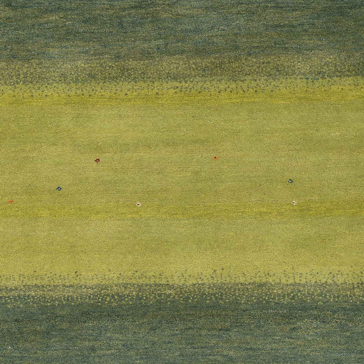 Tappeto Gabbeh - Loribaft Indus - 240 x 170 cm - verde