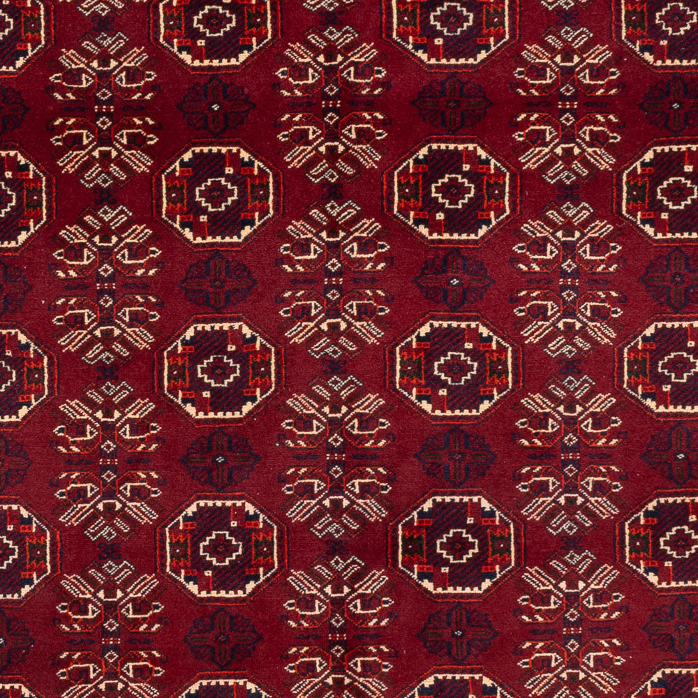 Tappeto afgano - Bukhara - 280 x 188 cm - rosso scuro