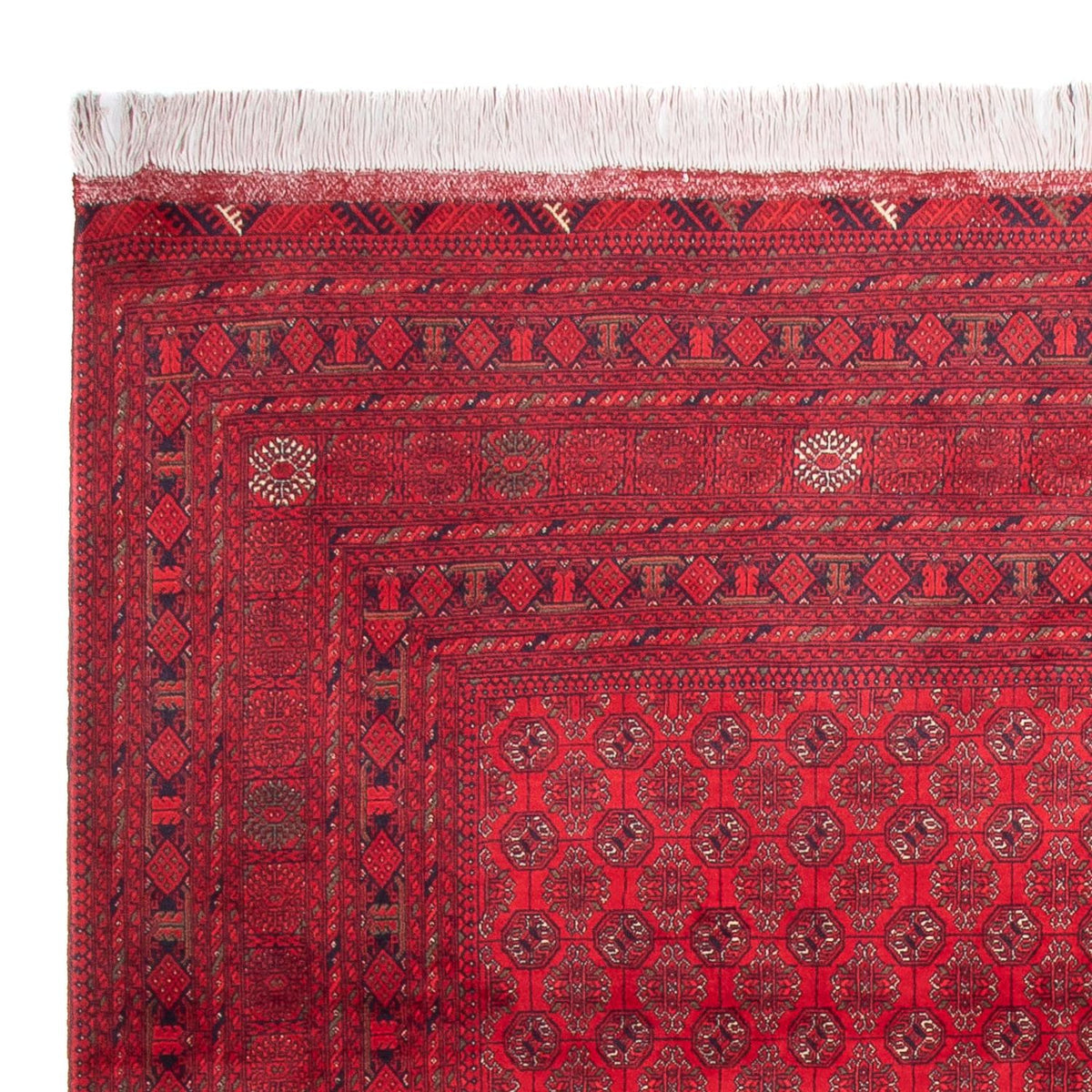 Tappeto afgano - 343 x 248 cm - rosso