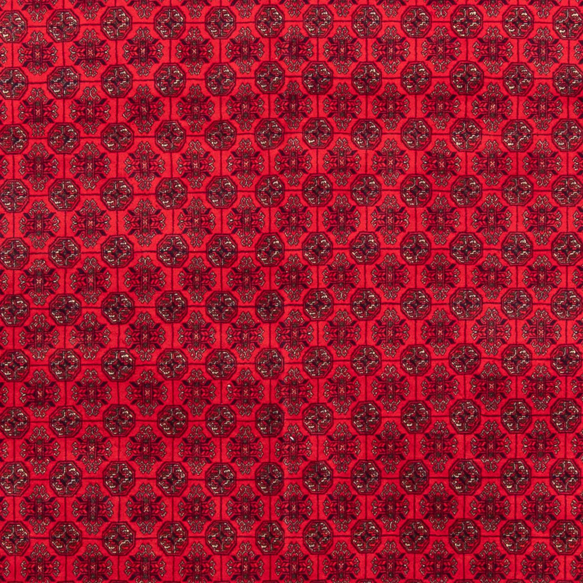 Tappeto afgano - 295 x 194 cm - rosso