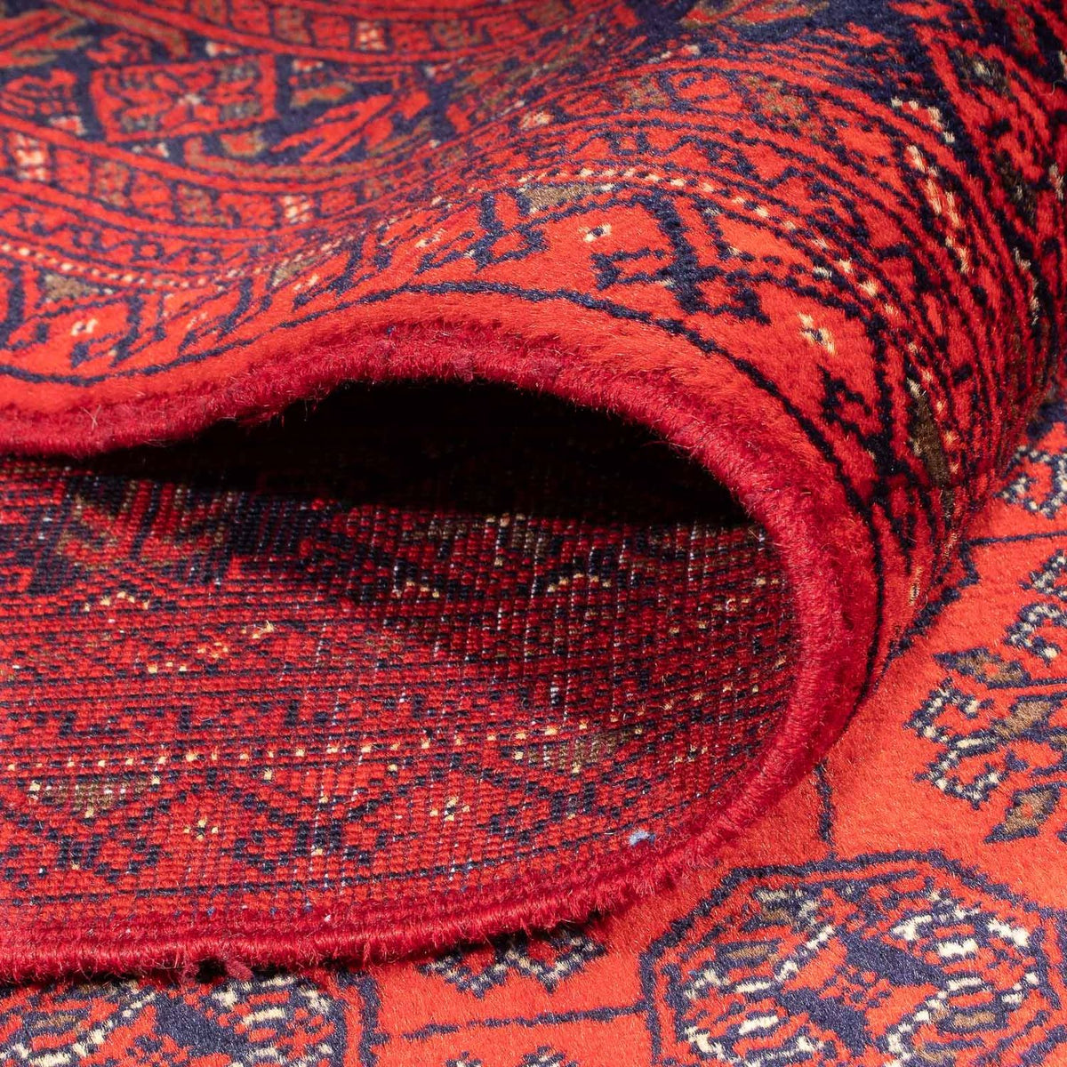 Tappeto afgano - 285 x 198 cm - rosso