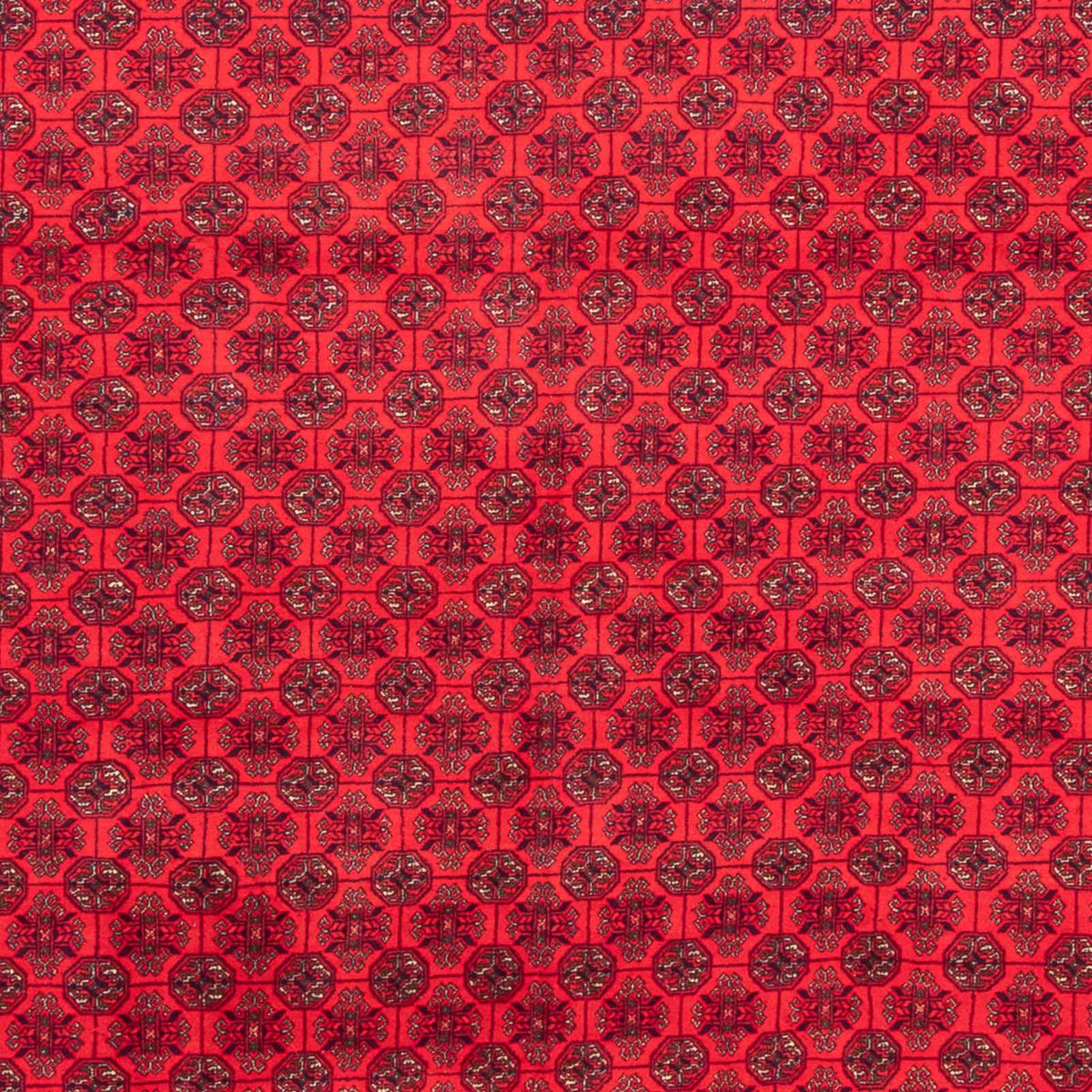 Tappeto afgano - 289 x 200 cm - rosso