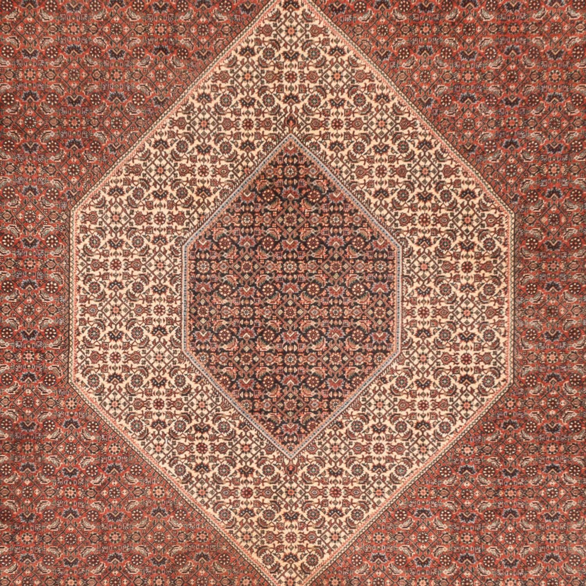 Tappeto Persero - Bidjar - 300 x 255 cm - ruggine