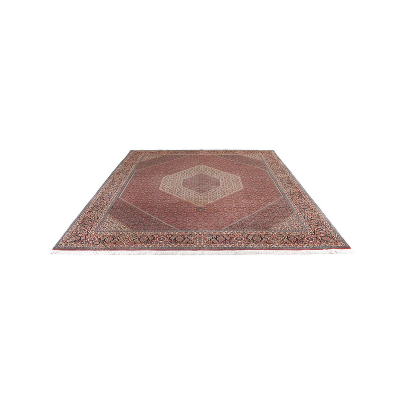 Tappeto Persero - Bidjar - 300 x 255 cm - ruggine