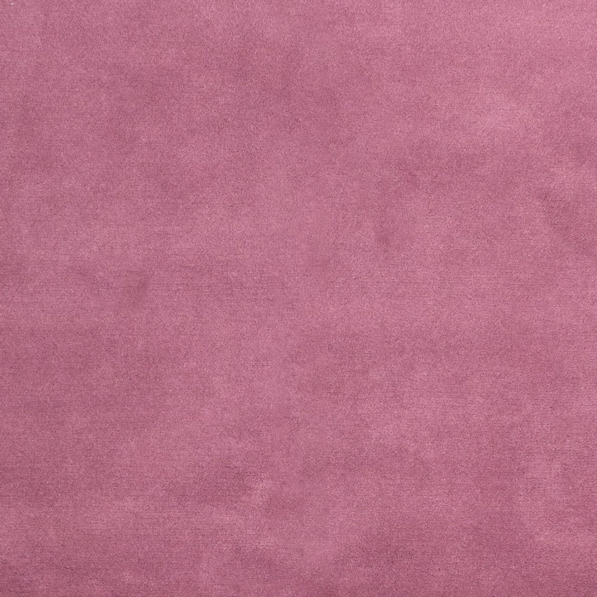 Tappeto Nepal - 180 x 120 cm - fucsia