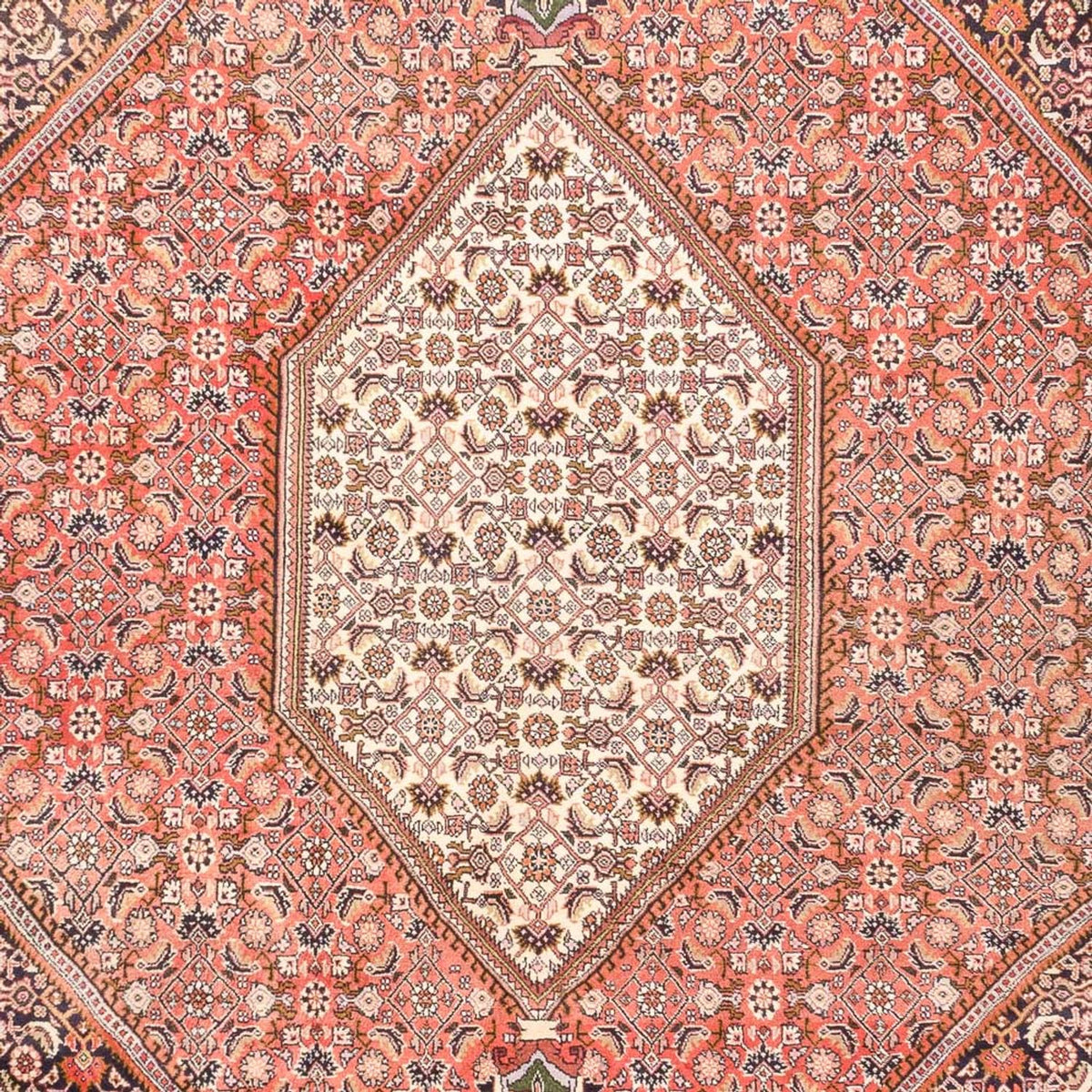 Tappeto Persero - Bidjar - 287 x 198 cm - rosso chiaro