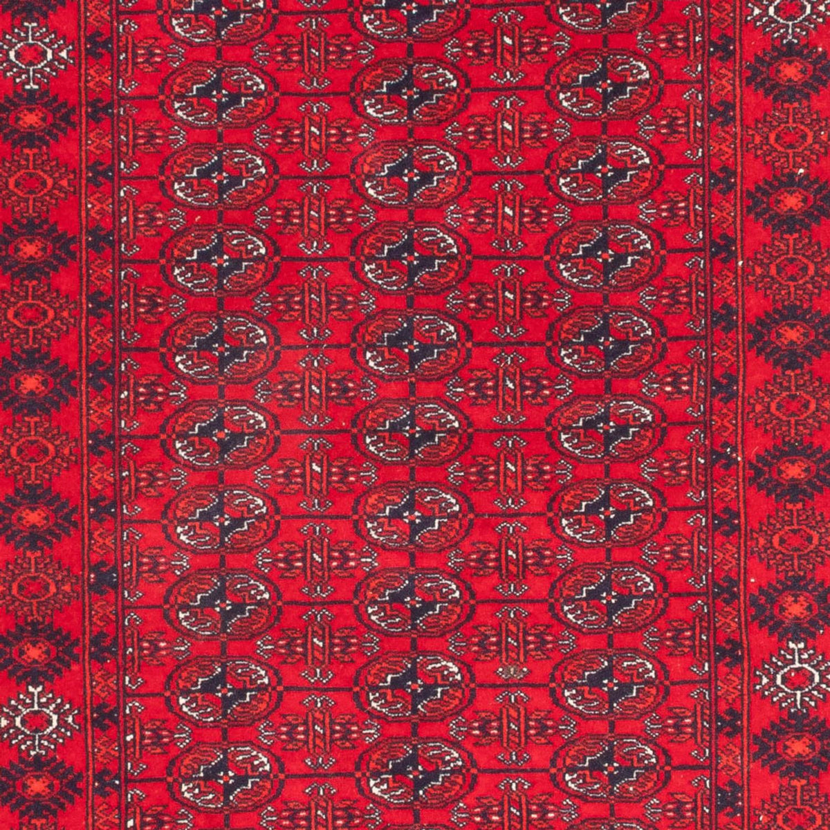Tappeto corsia Tappeto afgano - Bukhara - 260 x 85 cm - rosso