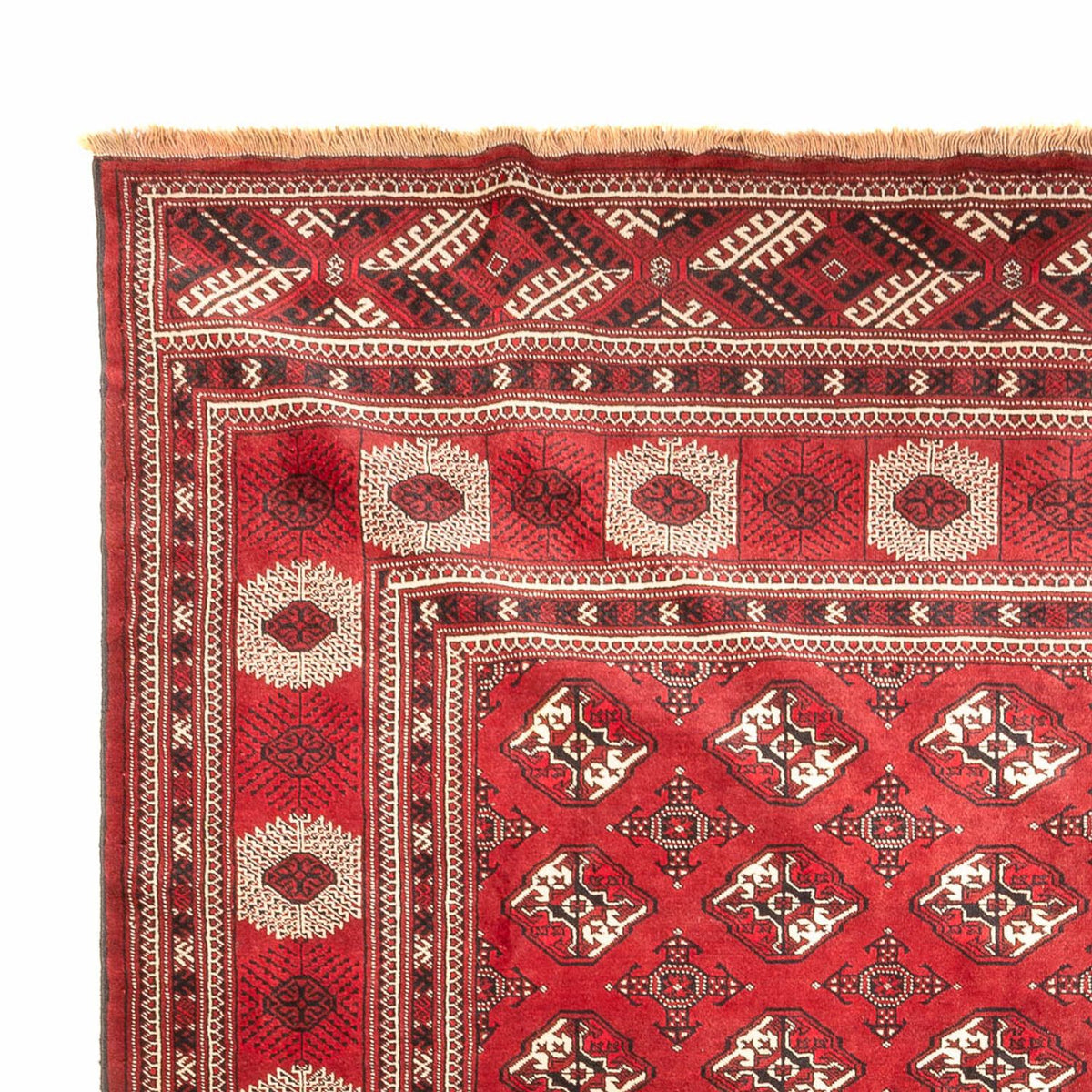 Tappeto Turkaman - 391 x 270 cm - rosso