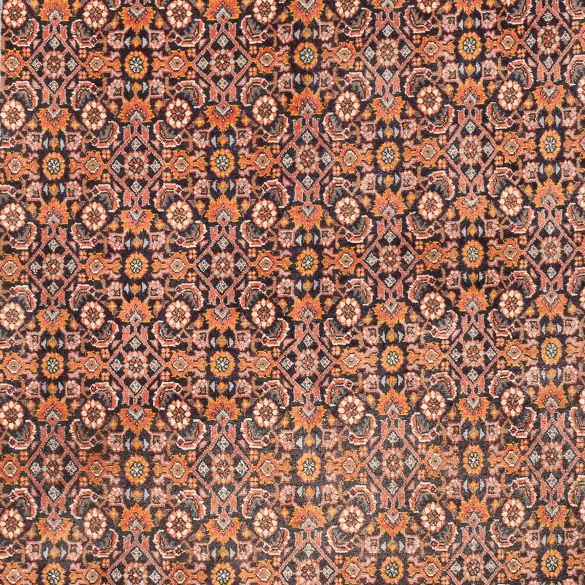 Tappeto corsia Tappeto orientale - 200 x 100 cm - beige scuro