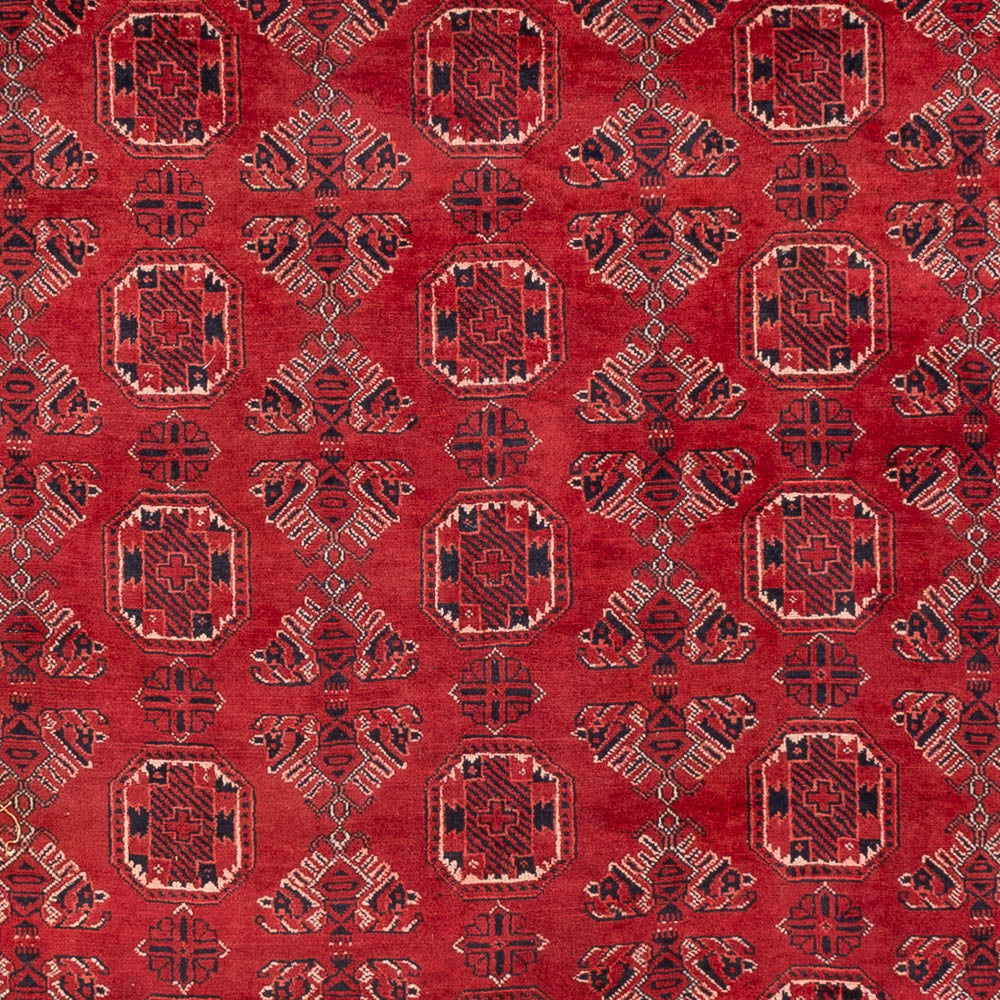 Tappeto afgano - 275 x 203 cm - rosso