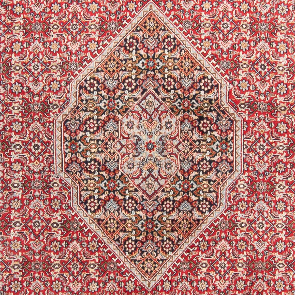 Tappeto orientale - Bidjar - Indo - 407 x 305 cm - rosso