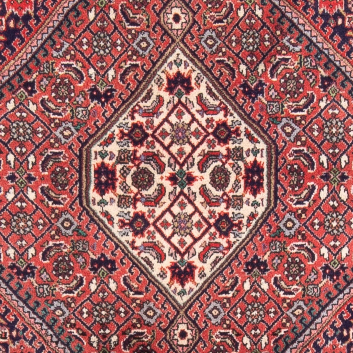 Tappeto Persero - Bidjar - 105 x 75 cm - rosso
