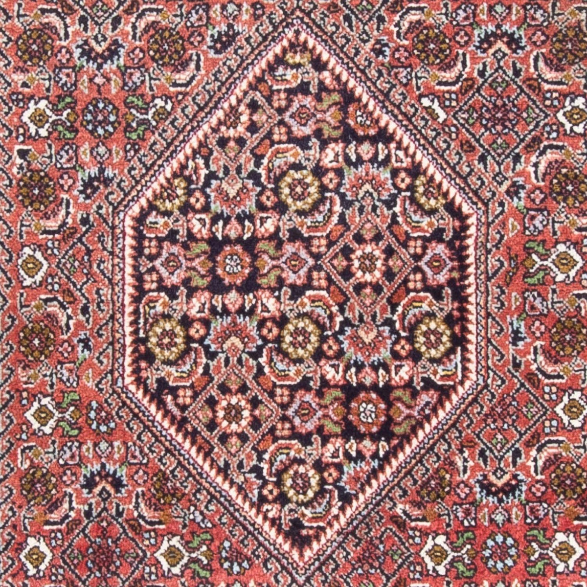 Tappeto Persero - Bidjar - 150 x 85 cm - rosso