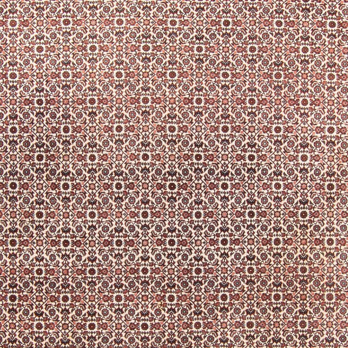 Tappeto Persero - Bidjar - 340 x 250 cm - beige
