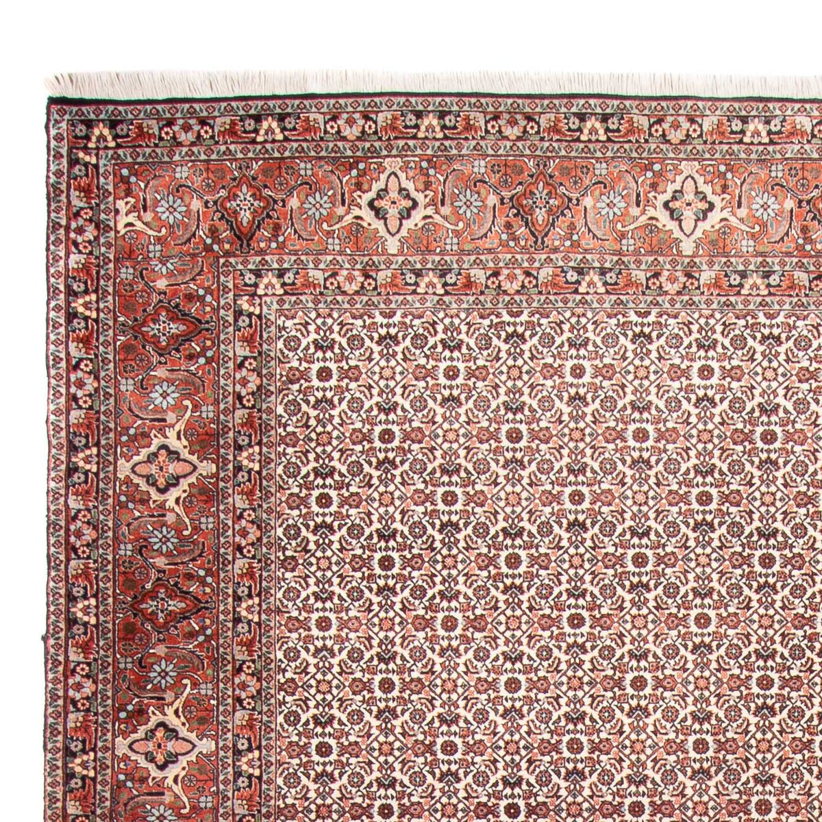 Tappeto Persero - Bidjar - 340 x 250 cm - beige