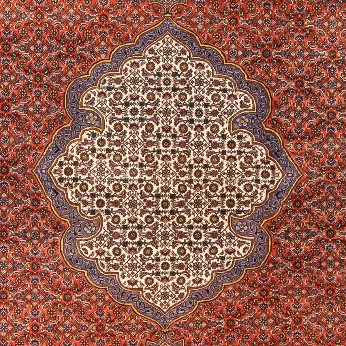 Tappeto Persero - Bidjar - 312 x 205 cm - arancione
