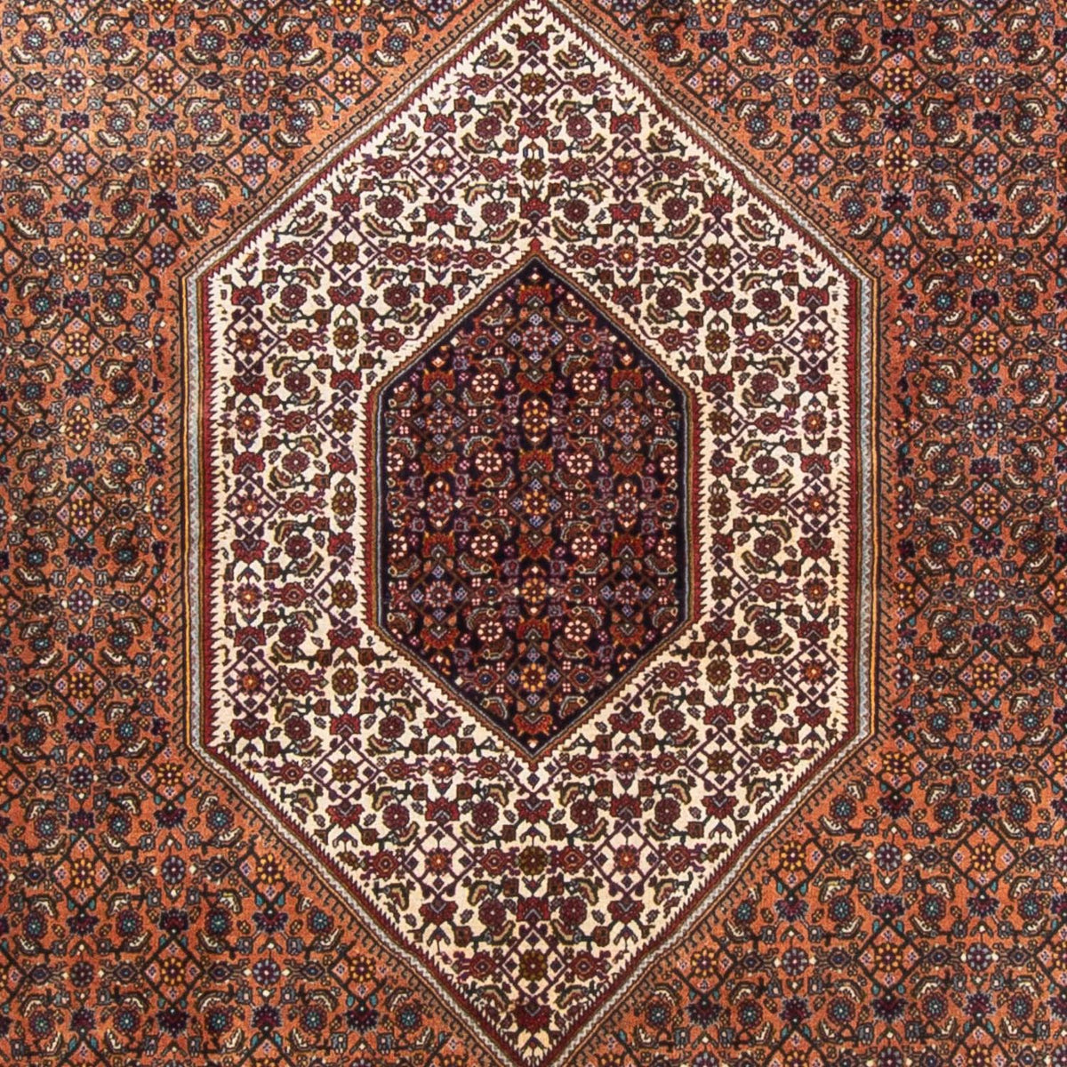 Tappeto Persero - Bidjar - 305 x 210 cm - marrone