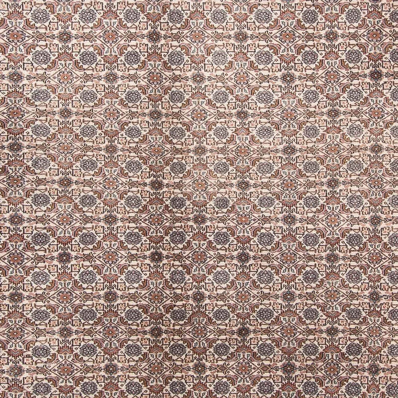 Tappeto orientale - Bidjar - Indo - 347 x 243 cm - beige