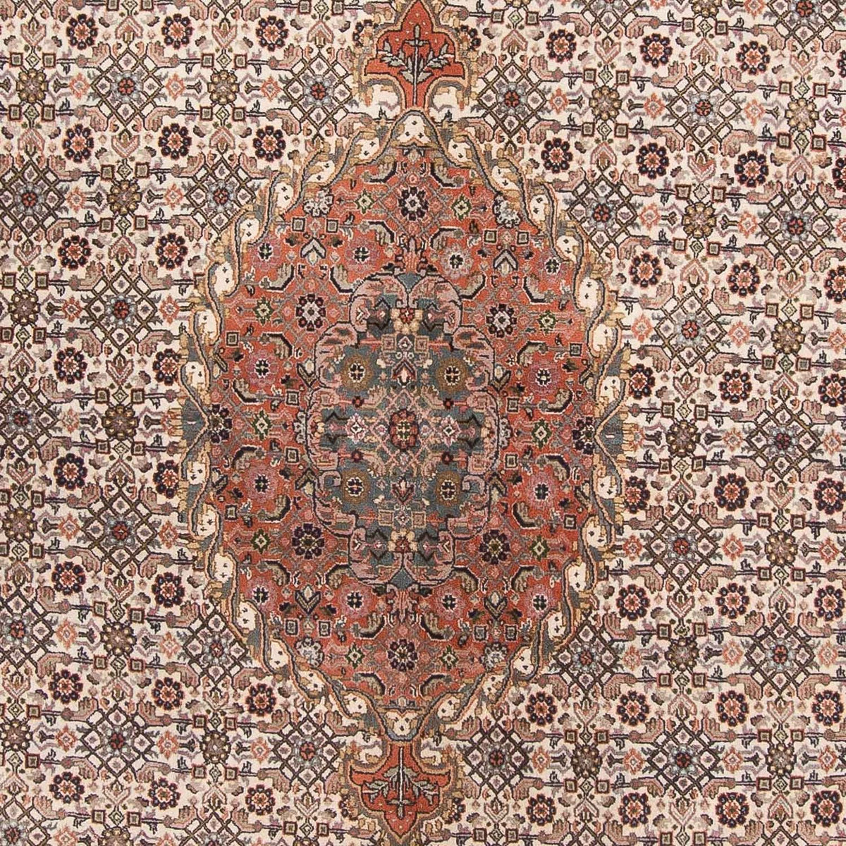 Tappeto orientale - Bidjar - Indo - 338 x 243 cm - beige