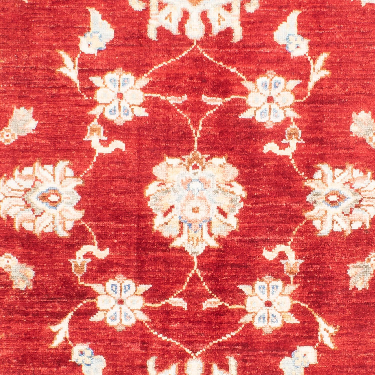 Tappeto Ziegler - 155 x 105 cm - rosso