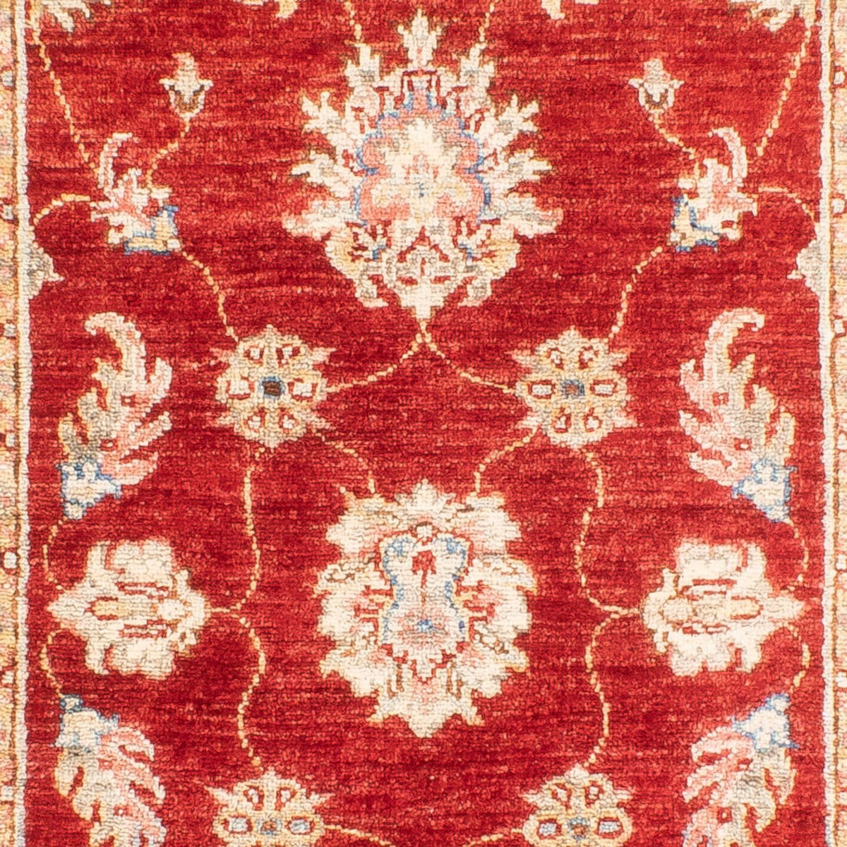 Tappeto corsia Tappeto Ziegler - 216 x 83 cm - rosso
