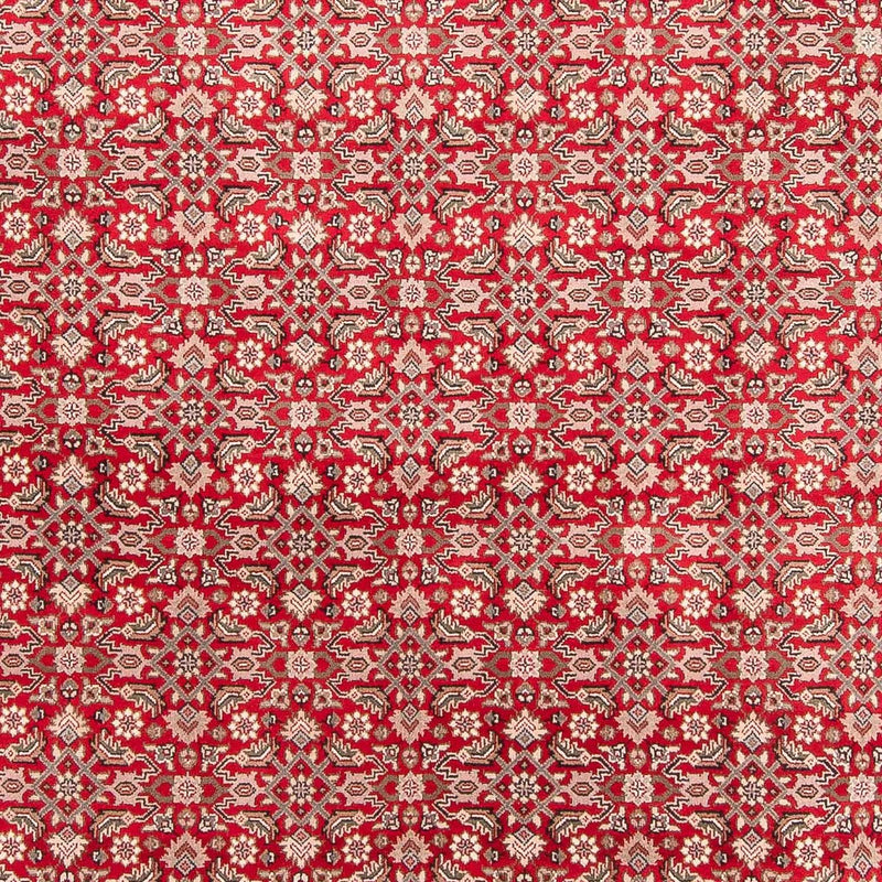 Tappeto orientale - Bidjar - Indo - 352 x 237 cm - rosso