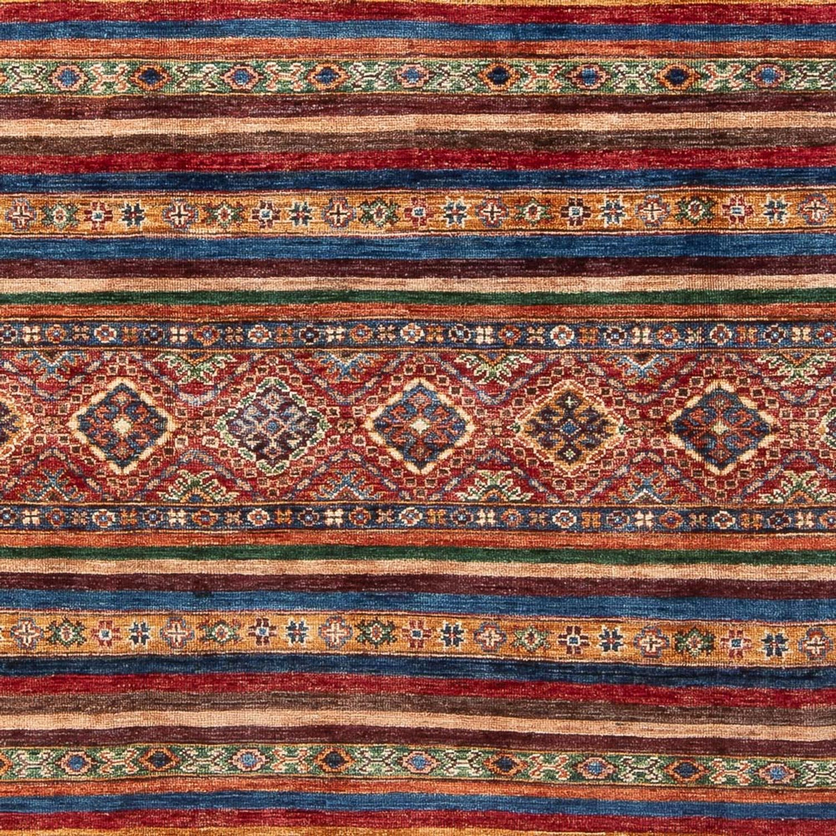 Tappeto Ziegler - Shal - 243 x 172 cm - multicolore