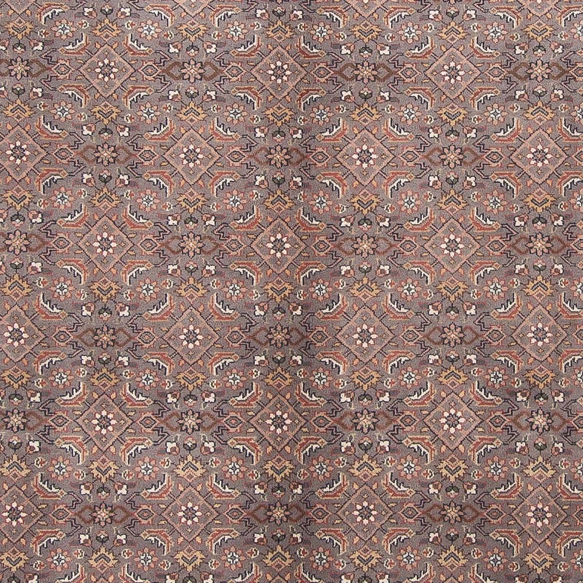 Tappeto orientale - Bidjar - Indo - 299 x 248 cm - marrone scuro