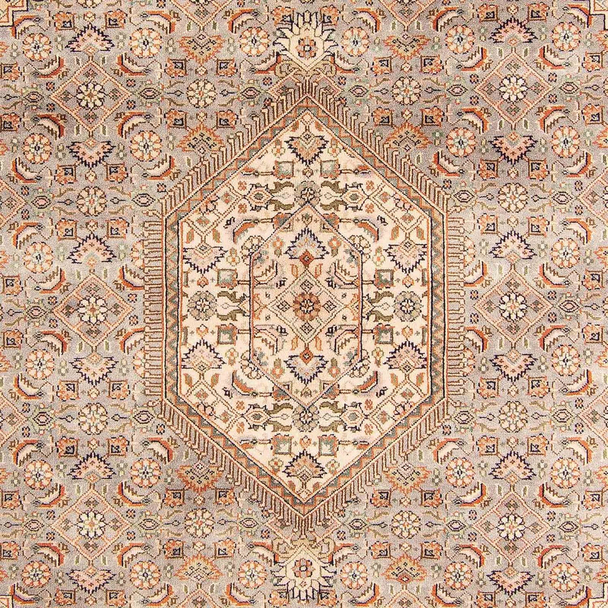 Tappeto orientale - Bidjar - Indo - 242 x 169 cm - marrone chiaro