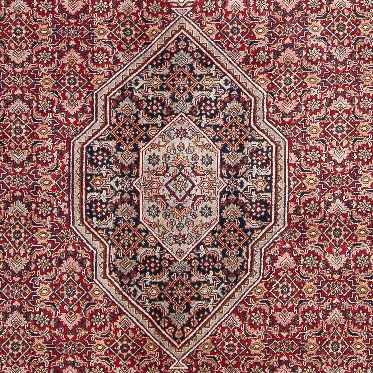 Tappeto orientale - Bidjar - Indo - 336 x 246 cm - rosso scuro