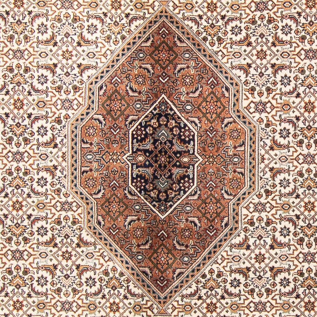 Tappeto orientale - Bidjar - Indo - 297 x 253 cm - beige