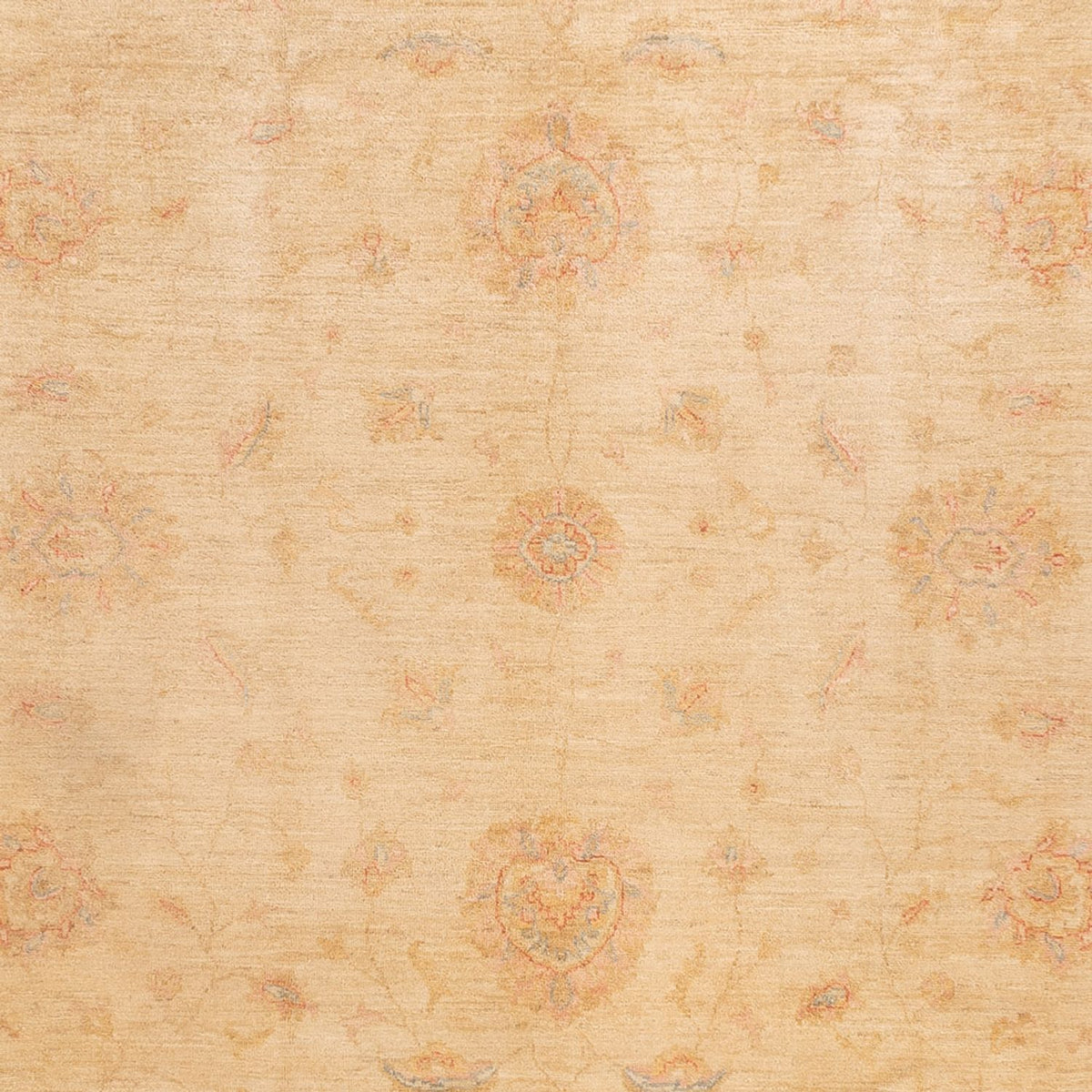 Tappeto Ziegler - 350 x 252 cm - beige
