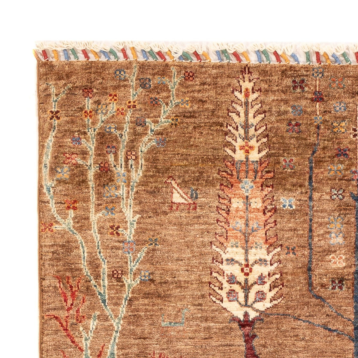 Tappeto Ziegler - Ariana - 184 x 119 cm - beige scuro