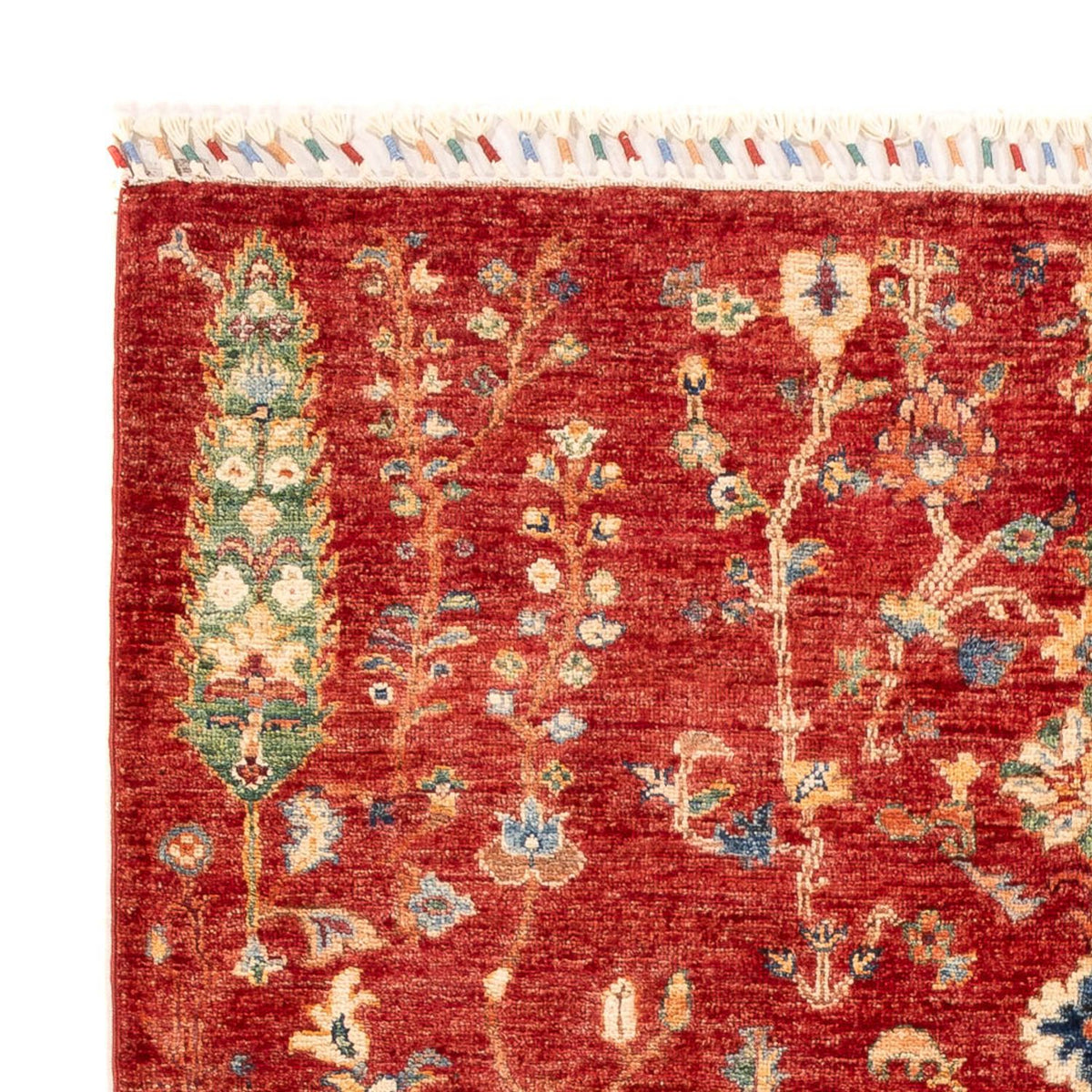 Tappeto Ziegler - Ariana - 177 x 123 cm - rosso