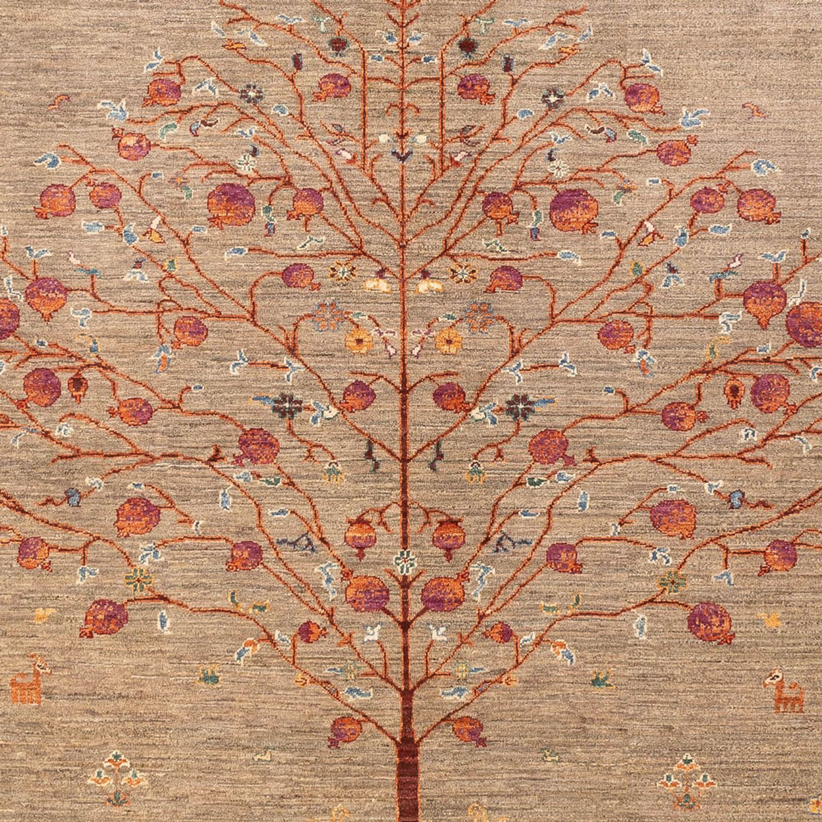 Tappeto Ziegler - Ariana - 289 x 206 cm - beige scuro