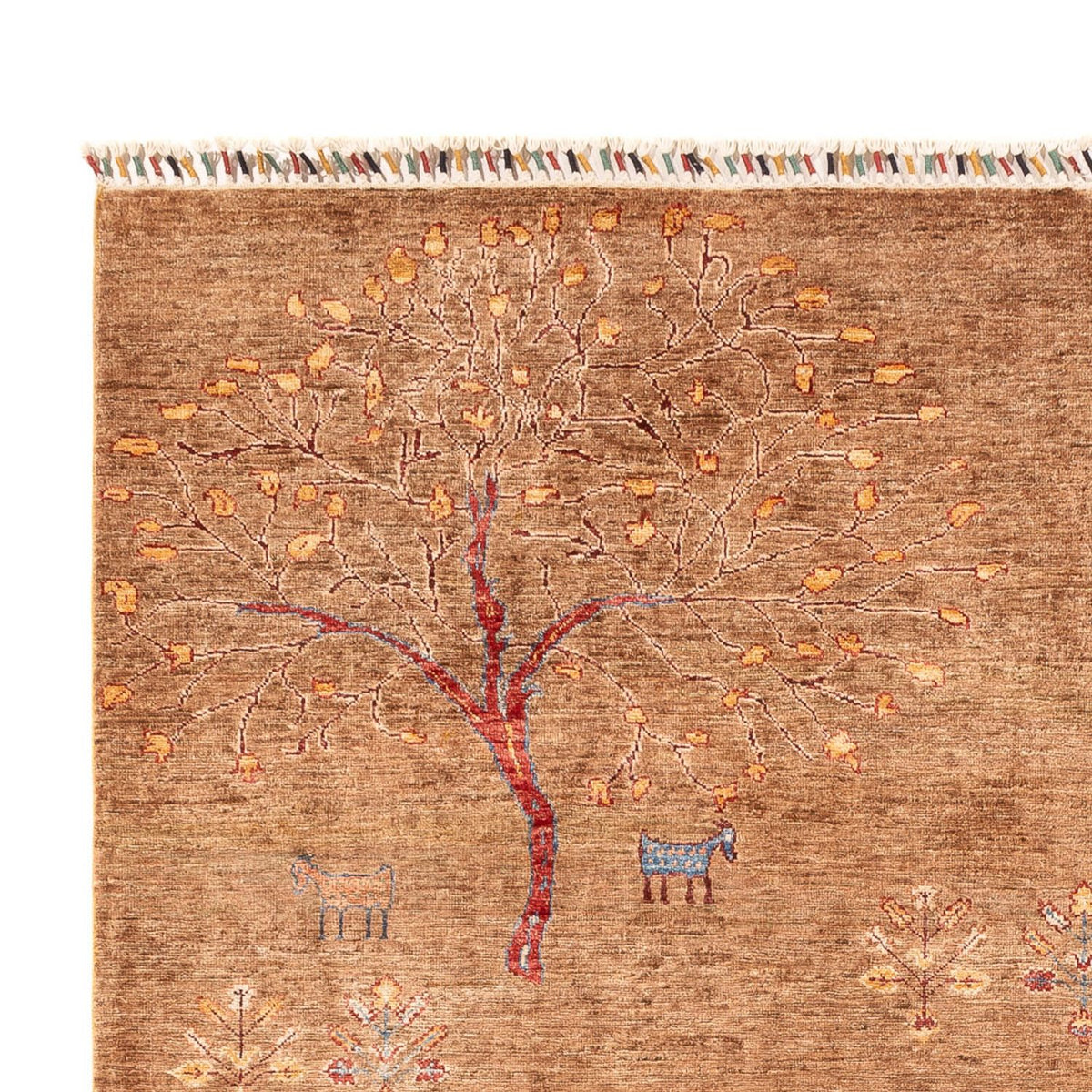 Tappeto Ziegler - Ariana - 294 x 206 cm - beige scuro