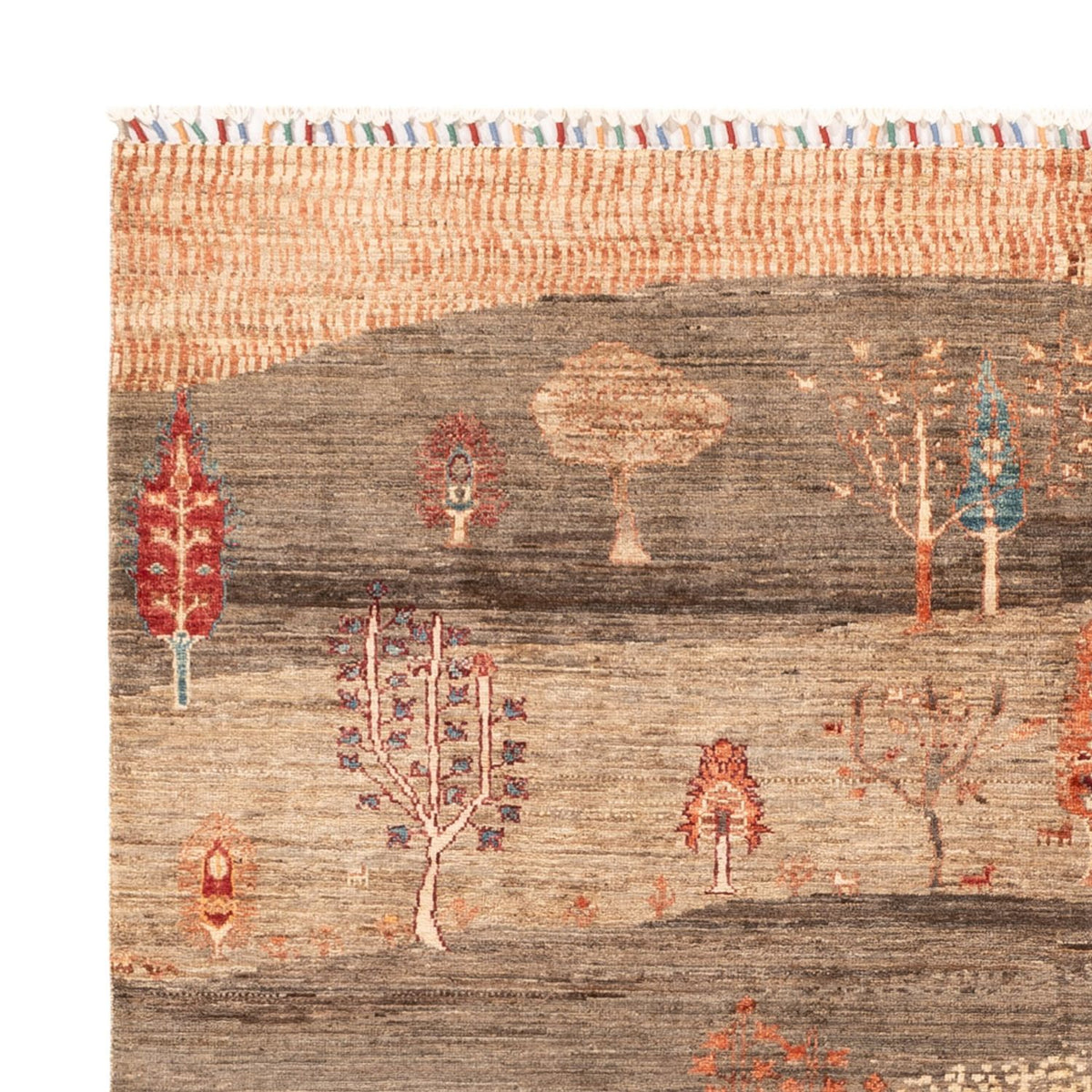 Tappeto Ziegler - Ariana - 215 x 171 cm - beige scuro