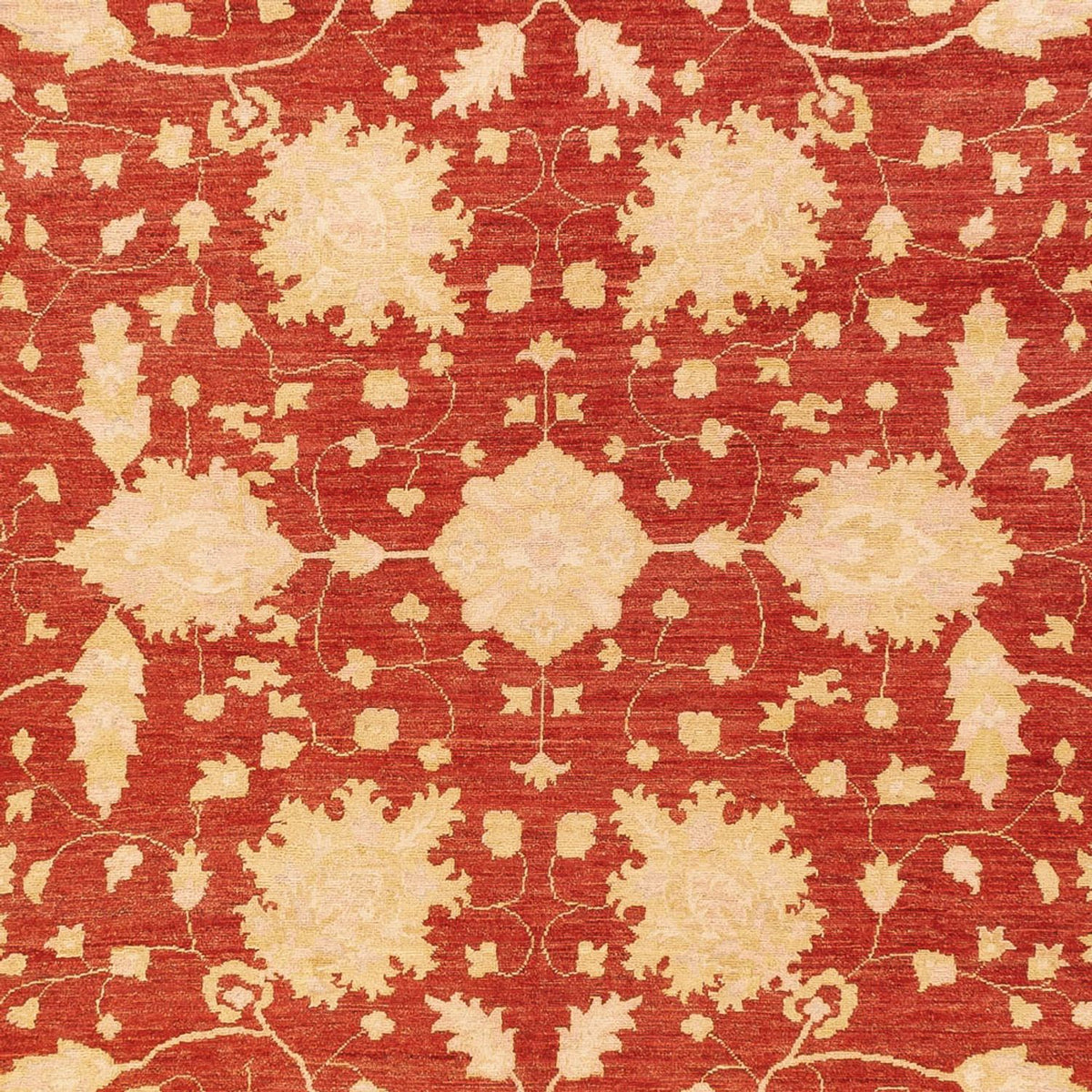 Tappeto Ziegler - 399 x 305 cm - rosso