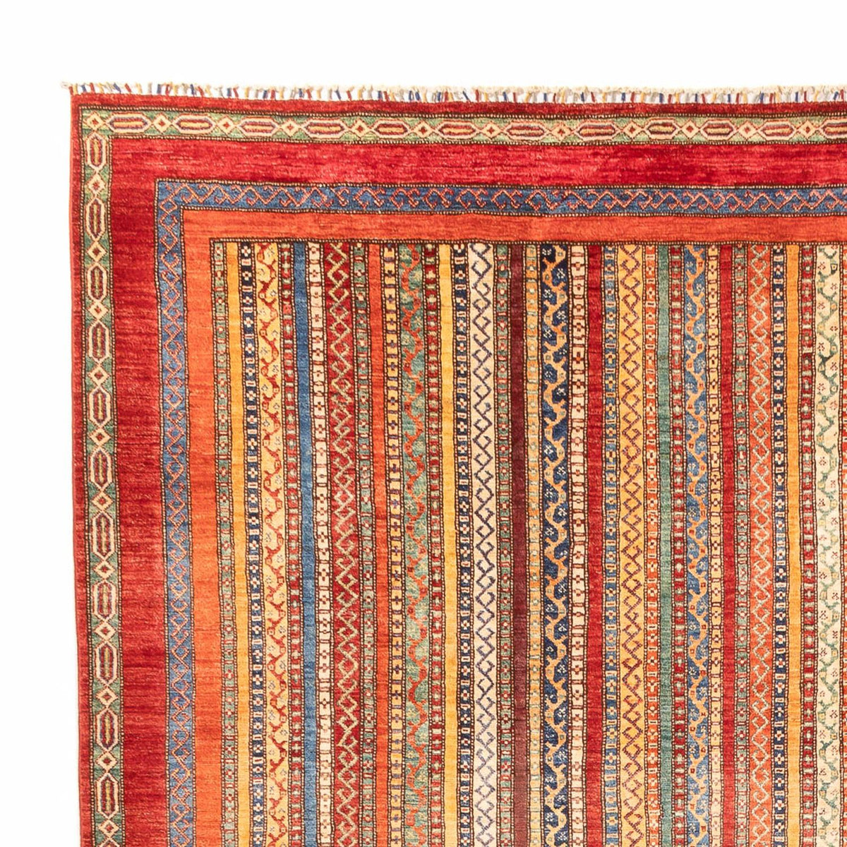 Tappeto Ziegler - Moderno - 409 x 302 cm - multicolore