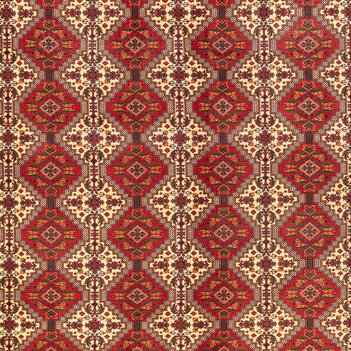 Tappeto afgano - Reale - 385 x 300 cm - multicolore