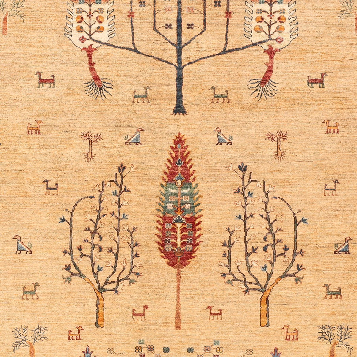 Tappeto Ziegler - Ariana - 388 x 298 cm - beige