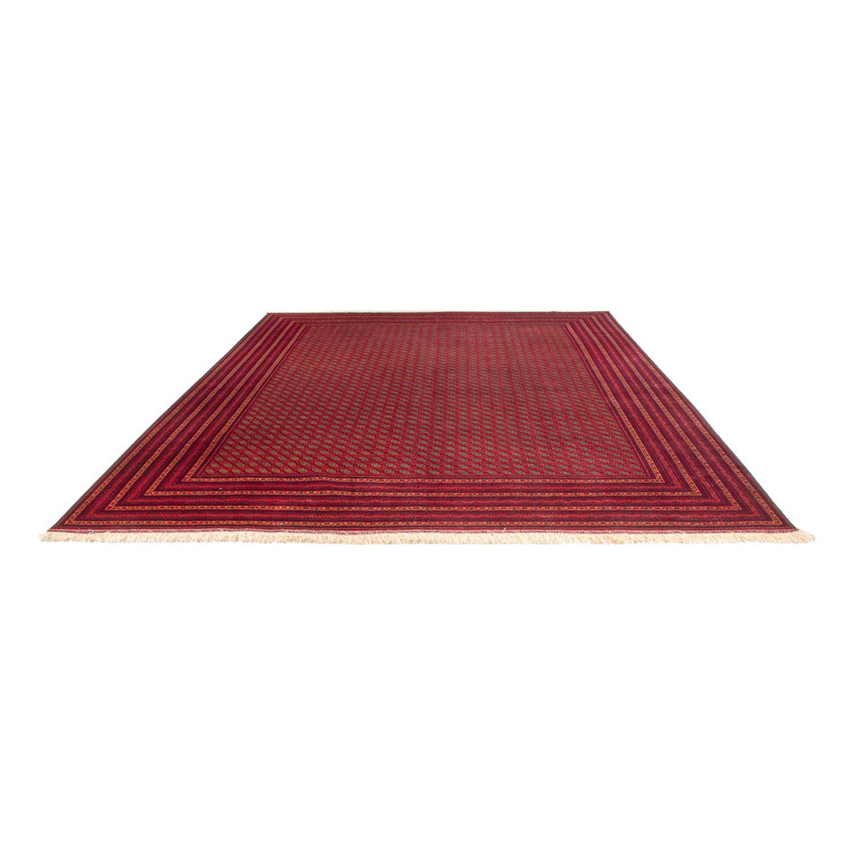 Tappeto afgano - Reale - 389 x 295 cm - ruggine