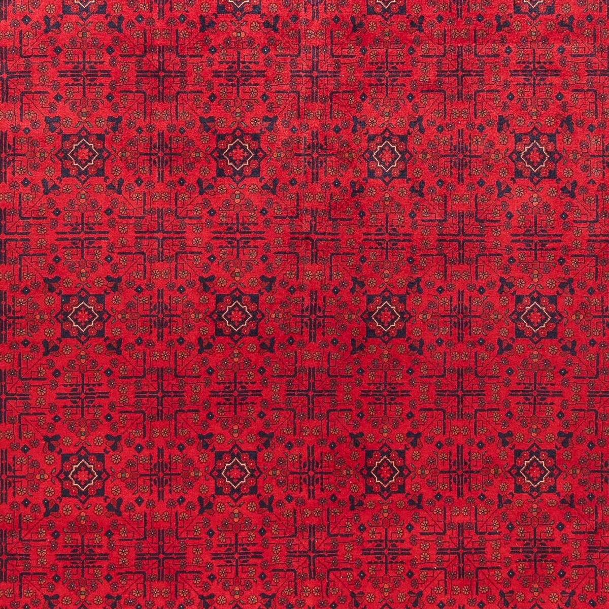 Tappeto afgano - Reale - 390 x 292 cm - rosso
