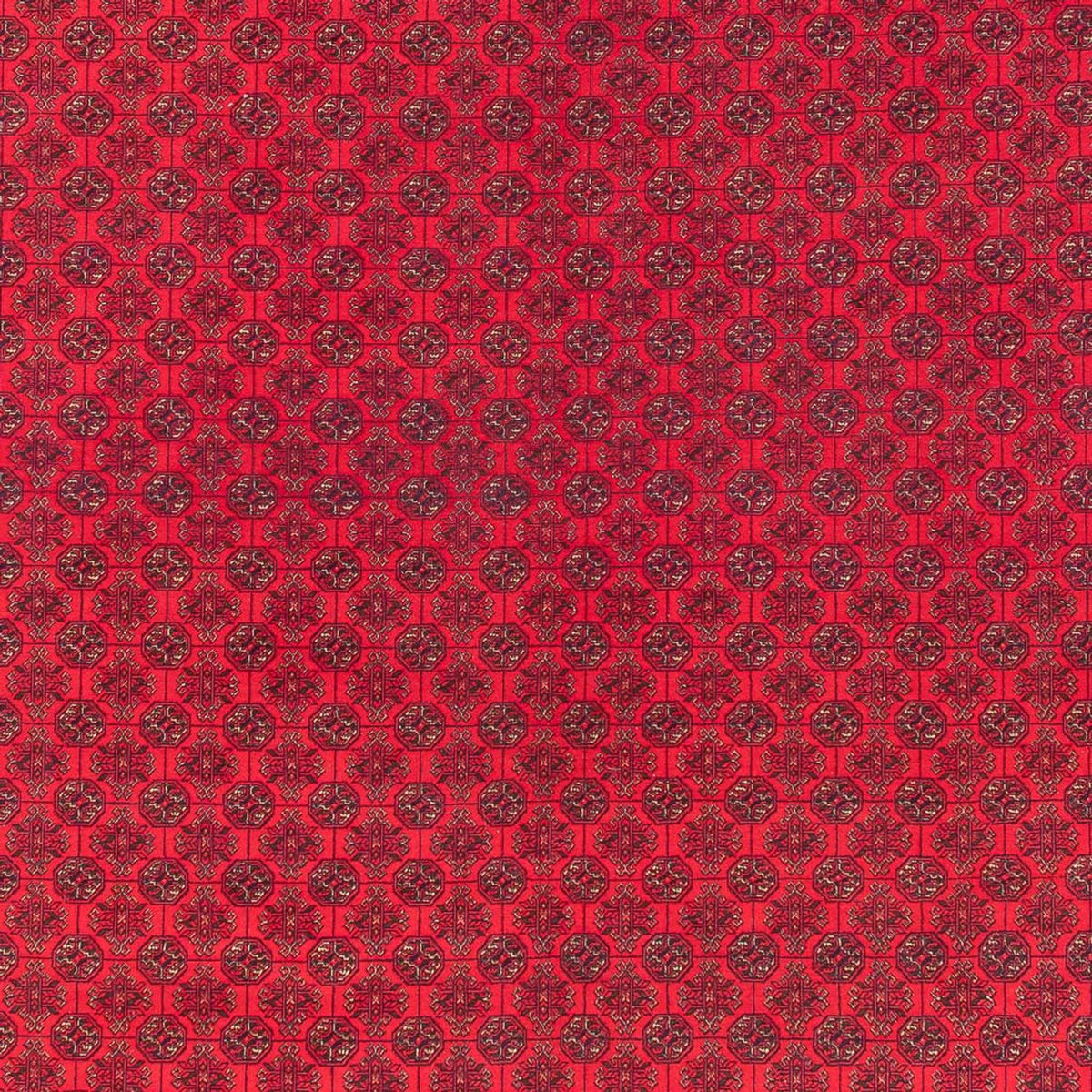 Tappeto afgano - Reale - 380 x 292 cm - rosso