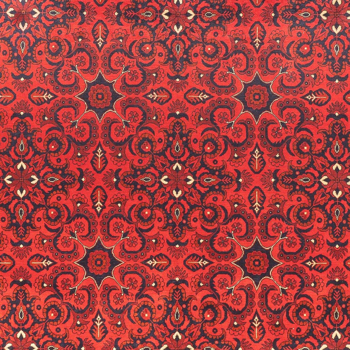 Tappeto afgano - Kunduz - 379 x 297 cm - rosso